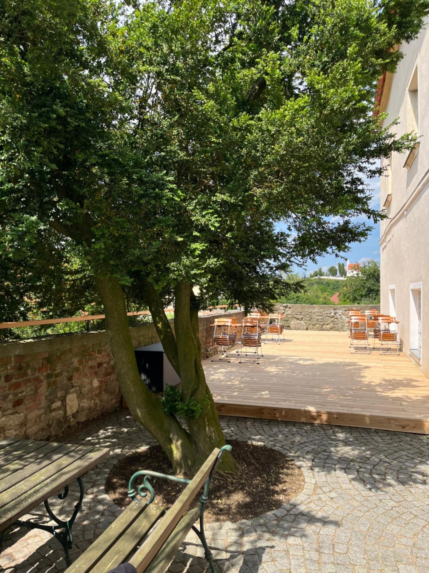 Schlosshotel Mailberg מראה חיצוני תמונה
